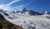 Randonnée Autre activité Chamonix-Mont-Blanc - Refuge Albert 1er - Photo 2