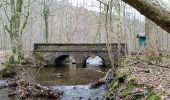 Tocht Stappen Saint-Hubert - FOUR. ST-MICHEL (Mauricy) - Photo 4