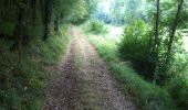 Trail Walking Cœur de Causse - Labastide Murat vers Vers - Photo 1