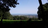 Tour Mountainbike Pierrefontaine-lès-Blamont - dans le lomont et la frontière franco suisse - Photo 15