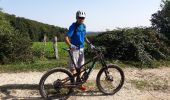 Tocht Mountainbike Pierrefontaine-lès-Blamont - dans le lomont et la frontière franco suisse - Photo 10