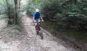 Trail Mountain bike Pierrefontaine-lès-Blamont - dans le lomont et la frontière franco suisse - Photo 6