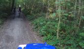 Trail Mountain bike Ham-sur-Heure-Nalinnes - VTT autour Ham-sur-Heure - Photo 3