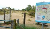 Trail Walking Koksijde - TB chemin schipgat (partie) - Photo 17