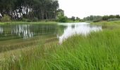 Excursión Senderismo Koksijde - TB chemin schipgat (partie) - Photo 8