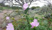 Tour Wandern Koksijde - TB chemin schipgat (partie) - Photo 6