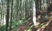 Trail Other activity La Roche-en-Ardenne - la roche 11 km tocht - Photo 1