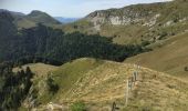 Trail Walking Lus-la-Croix-Haute - Les SEIZE-SOMMET DE LAUP et Retour par même itinéraire  - Photo 8