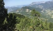 Tour Wandern Saint-Julien-en-Beauchêne - VAUNIERES-LA PARE-03-08-2017 - Photo 6