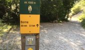 Randonnée Marche Glandage - BORNE-ARETES DE JIBOUI et COL-SUCETTES DE BORNE-23-08-2017 - Photo 8