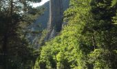 Tour Wandern Glandage - BORNE-ARETES DE JIBOUI et COL-SUCETTES DE BORNE-23-08-2017 - Photo 5