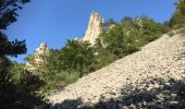 Randonnée Marche Glandage - BORNE-ARETES DE JIBOUI et COL-SUCETTES DE BORNE-23-08-2017 - Photo 3