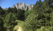 Trail Walking Saint-Martin-de-Clelles - TREZANE-MONT AIGUILLE -04-08-2017 - Photo 5