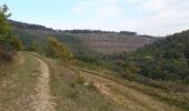 Trail Walking Tenneville - Laneuville au bois- 15Km - Photo 1