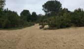 Trail Other activity De Panne - dunes la panne - Photo 3