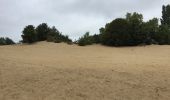 Percorso Altra attività De Panne - dunes la panne - Photo 2