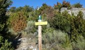 Tocht Stappen Montferrer - Montferrer Pic de Souque - Photo 5