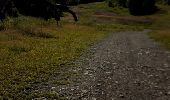 Excursión Senderismo Manigod - le tour de la tête de cabeau - Photo 2