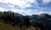 Excursión Senderismo Manigod - le tour de la tête de cabeau - Photo 8