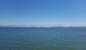 Tour Wandern Unbekannt - Golden Gate bridge -Sausotillo- Alcatraz et Fishermanswarf - Photo 2