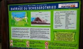 Excursión Senderismo Stosswihr -  68 Sentier des roches - Photo 7
