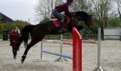 Tocht Paard Florenville - Circuit 6 - Moutarde - Florenville-Libramont - Photo 20