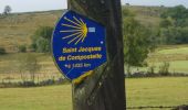 Tocht Stappen Peyre en Aubrac - les 4 chemins - Nasbinals - Photo 1