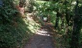 Trail Walking Baden - Port Blanc - Arradon - Photo 19