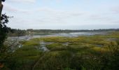 Tocht Andere activiteiten Auray - Auray Baden ( avec erreur sur parcours) - Photo 6