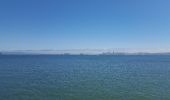 Tocht Stappen Onbekend - Golden Gate bridge -Sausotillo- Alcatraz et Fishermanswarf - Photo 2