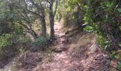 Trail Walking Ajaccio - la parata - Photo 3