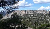 Randonnée Marche Buis-les-Baronnies - tour du saint Julien  - Photo 5