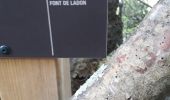 Trail Walking Buis-les-Baronnies - tour du saint Julien  - Photo 1