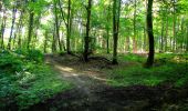 Trail Walking Longpont - en forêt de Retz_57_Longpont_Saint-Pierre Aigle_AR - Photo 9