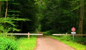 Trail Walking Longpont - en forêt de Retz_57_Longpont_Saint-Pierre Aigle_AR - Photo 18