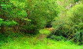 Trail Walking Longpont - en forêt de Retz_57_Longpont_Saint-Pierre Aigle_AR - Photo 3