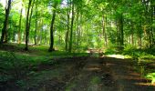 Trail Walking Longpont - en forêt de Retz_57_Longpont_Saint-Pierre Aigle_AR - Photo 8