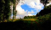 Trail Walking Longpont - en forêt de Retz_57_Longpont_Saint-Pierre Aigle_AR - Photo 1