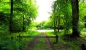 Trail Walking Longpont - en forêt de Retz_57_Longpont_Saint-Pierre Aigle_AR - Photo 16