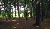 Trail Walking Longpont - en forêt de Retz_57_Longpont_Saint-Pierre Aigle_AR - Photo 7