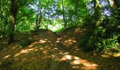 Trail Walking Longpont - en forêt de Retz_57_Longpont_Saint-Pierre Aigle_AR - Photo 12