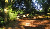 Trail Walking Longpont - en forêt de Retz_57_Longpont_Saint-Pierre Aigle_AR - Photo 10
