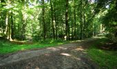 Trail Walking Longpont - en forêt de Retz_57_Longpont_Saint-Pierre Aigle_AR - Photo 14
