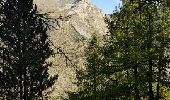 Excursión Senderismo Névache - Nevache pont de fortville à Porte de cristol - Photo 11