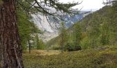 Tour Wandern Névache - Nevache pont de fortville à Porte de cristol - Photo 3