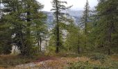 Trail Walking Névache - Nevache pont de fortville à Porte de cristol - Photo 2