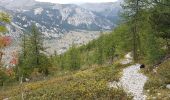 Tour Wandern Névache - Nevache pont de fortville à Porte de cristol - Photo 12