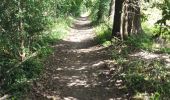 Trail Walking Condé-Sainte-Libiaire - CRAB : 