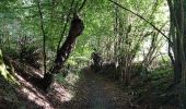 Tour Wandern Yvré-l'Évêque - Balade autour d'Yvré et Sergé. - Photo 1