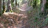 Trail Walking Bourgs sur Colagne - Le Monastier - Mende - Photo 2